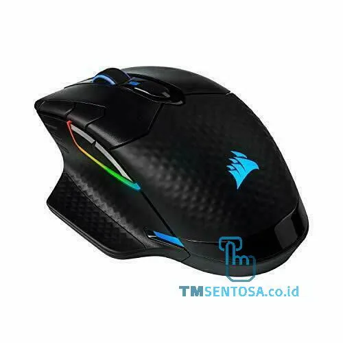 Gaming Mouse Dark Core RGB PRO SE [CH-9315511-NA]