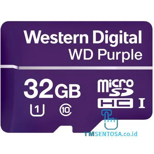 Purple MicroSDHC 32GB Class 10 [WDD032G1P0A]