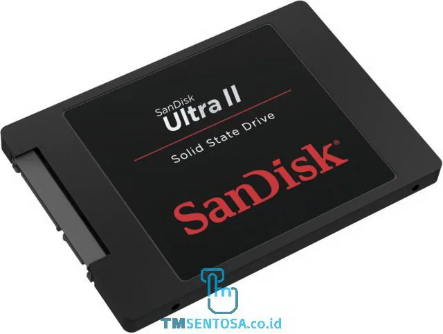 Solid State Drive Ultra II 960GB [SDSSDHII-960G-G25]