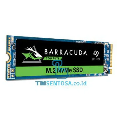 Barracuda 510 M.2 250GB [ZP250CM3A001]